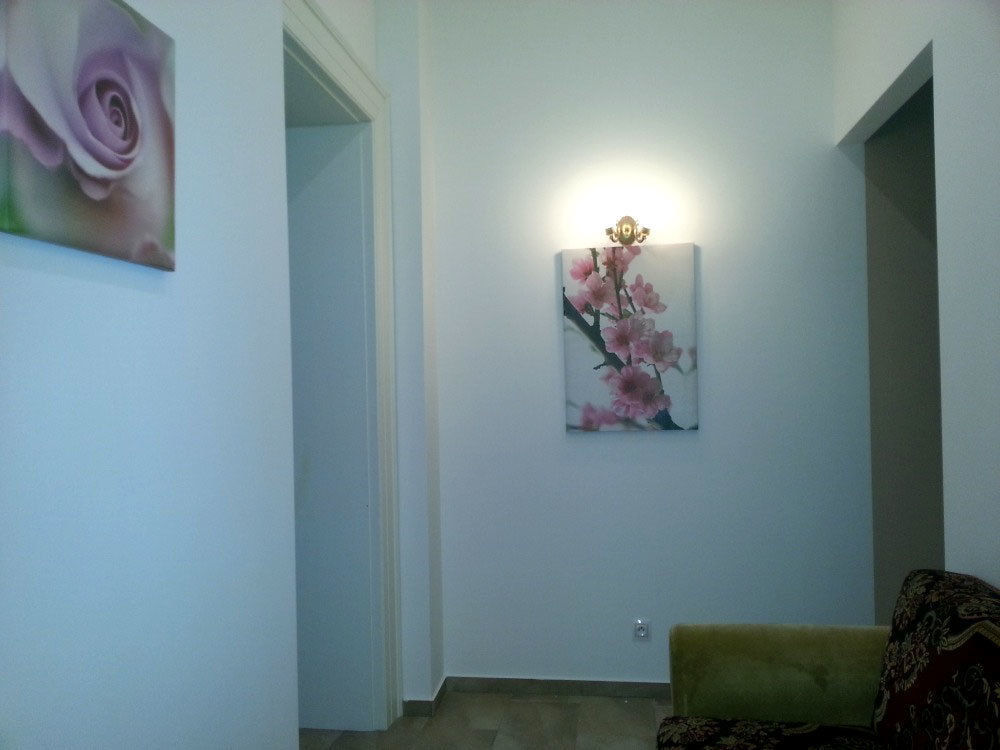 Deluxe Apartments Karlovy Vary Dış mekan fotoğraf